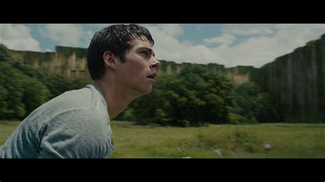 The Maze Runner Thomas The Maze Runner Thomas Photo 39528649