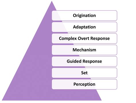 Blooms Taxonomy For Psychomotor Domain