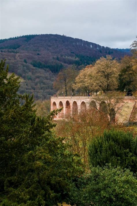 Heidelberg Castle Sweet Cs Designs