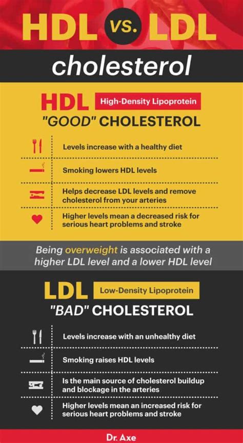 Hdl Cholesterol How To Increase Good Cholesterol Dr Axe