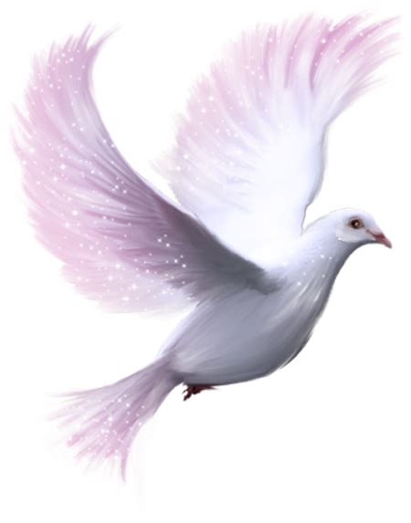 Download I Love You My Angel White Dove Transparent Background Png