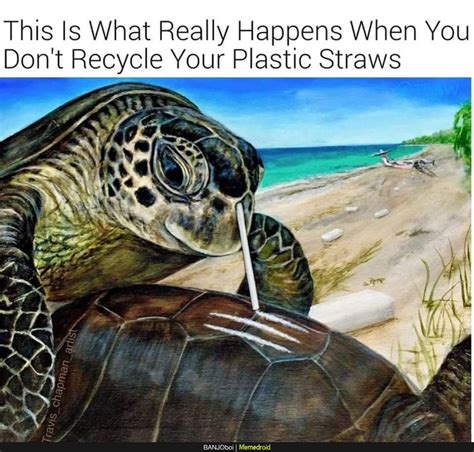 Pin By Lucoa𖤐 On Memes Animal Planet Turtle Meme Turtle