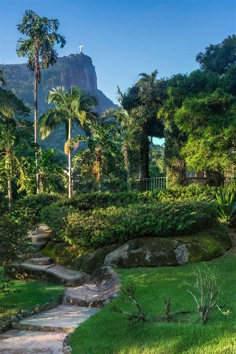 Things To Do In Rio De Janeiro Garden Brazil Travel Visit Rio Rio