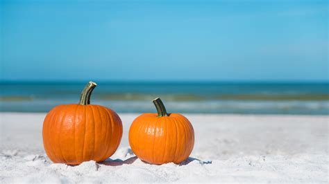 Things To Know Before Visiting Florida In October Florida Trippers