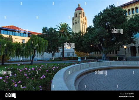 Stanford University Campus With The Hoover Tower At Sunrise Palo