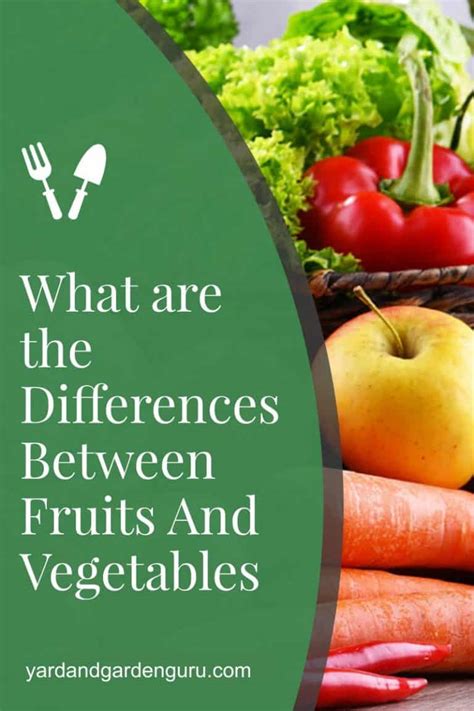 What Are The Differences Between Fruits And Vegetables