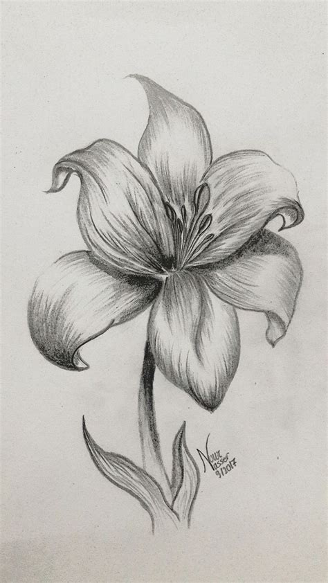 Pencil sketch your photo is a free online tool, where it make your photo to pencil sketch in a single click. Pencil drawing Lily (mit Bildern) | Blumen zeichnung ...