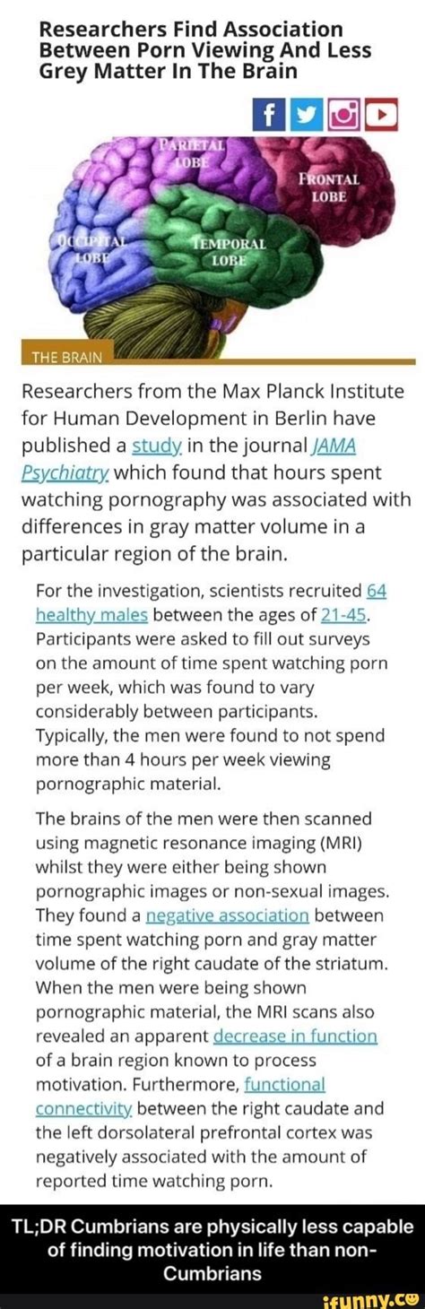 Researchers Find Association Between Porn Viewing And Less Grey Matter