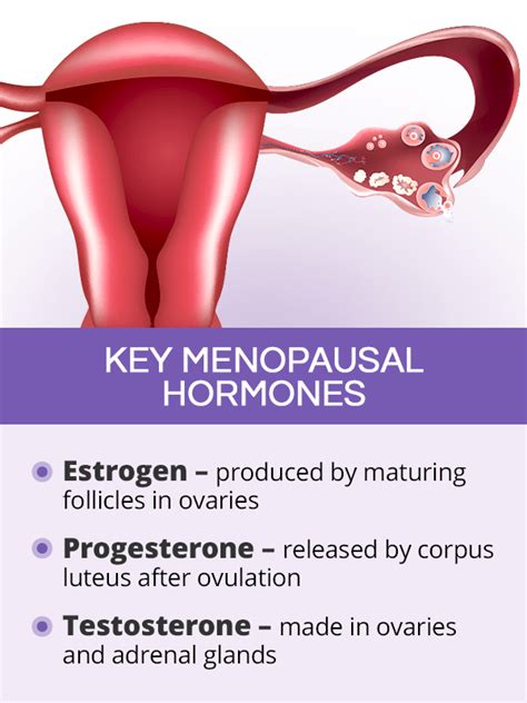Menopause Hormones Shecares