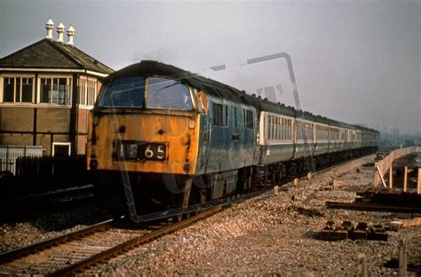 Rail Online Class 52 Western D1014 1974 Taplow
