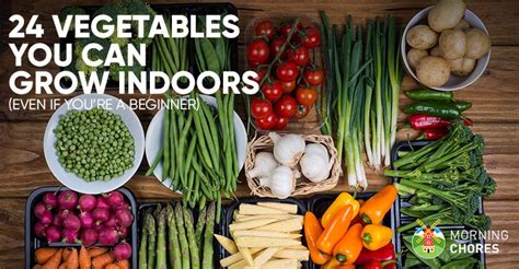 24 Newbie Friendly Vegetables You Can Easily Grow Indoors