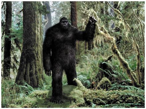 Scientists To Test Recent Bigfoot Dna Evidence Museum Of The Weird