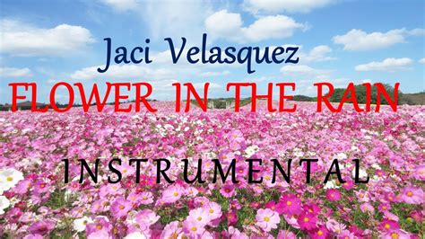 Flowers of the forest, or the flooers o the forest (roud 3812), is a scottish folk tune commemorating the defeat of the scottish army of james iv at the battle of flodden in september 1513. FLOWER IN THE RAIN - JACI VELASQUEZ instrumental (HD ...