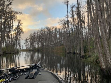St Johns River Fishing The Complete Guide Updated 2023