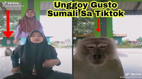 Pinoy Memes Unggoy Agaw Eksena Sa Mga Nag Ti Tiktok Best Funny Videos