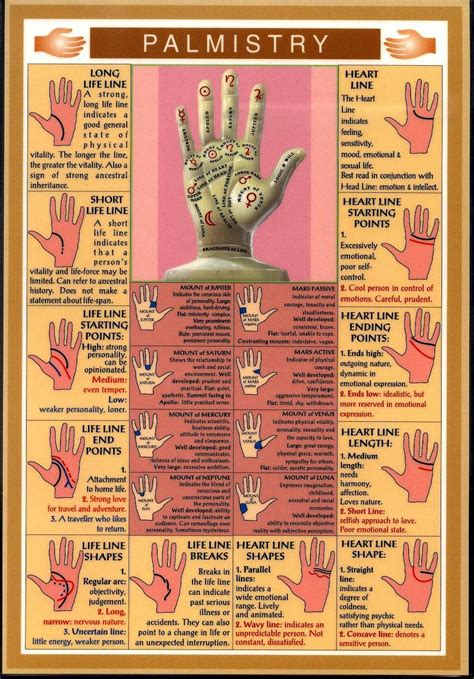 Palmistry The Art Of Palm Reading Information India