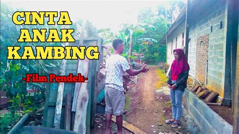 One picture, he wrote, showed the wolf and the lamb, the kid and the leopard, the calf and the lion —all in peace, being led by a little boy. Film Pendek - CINTA ANAK KAMBING ( Webe Channel ) - YouTube