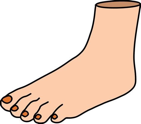Free Clipart On Dumielauxepices Foot Png Download Full Size