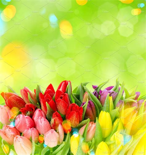Spring Tulips Easter Sale 50 Off Nature Stock Photos ~ Creative Market