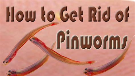 6 Easy Natural Home Remedies To Cure Pinworms