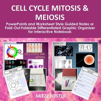 Cell Cycle Mitosis Meiosis PowerPoints Guided Notes Printable