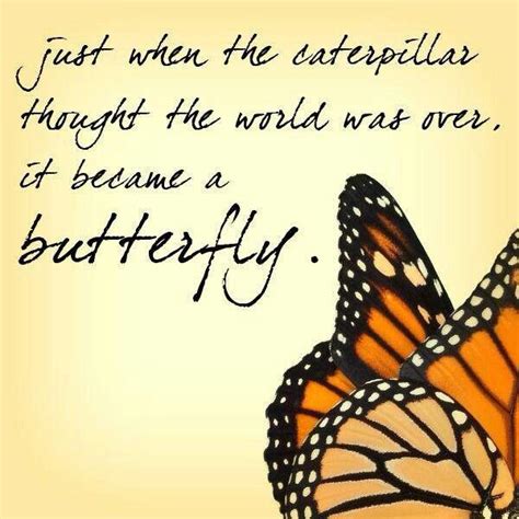 Butterfly Quotes Quotesgram