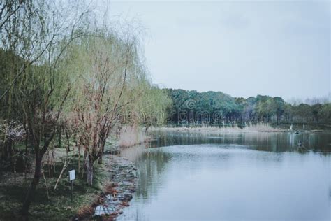 Scenes Of Nature And Flora From Gucun Park In Shanghai China Stock