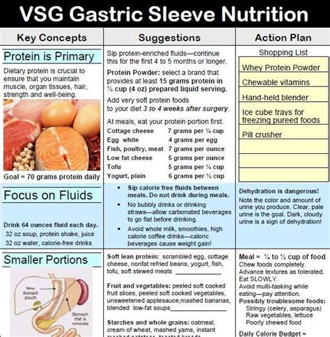 Gastric Sleeve Nutrition Bariatric Recipes Sleeve Bariatric Surgery