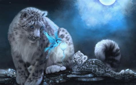 Blue Snow Leopard Hd Desktop Wallpaper Widescreen High Definition
