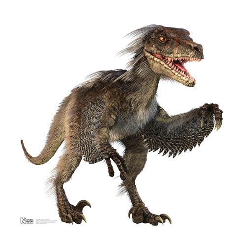 Velociraptor Velociraptor Dinozavri