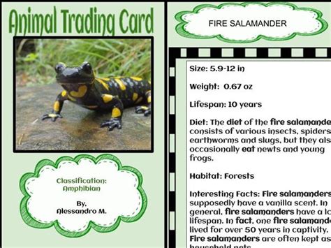 Student Work Showcase Animal Trading Cards