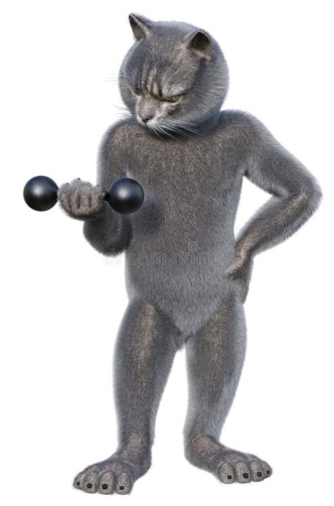 Gray Cat Doing Gymnastics With Dumbbells Stock Illustration