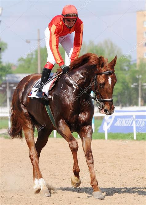 Jockey On A Chestnut Racehorse Stock Editorial Photo © Geptays 107217538