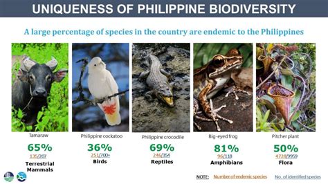 Endemism And Uniqueness Of Philippine Biodiversity Philippine Clearing
