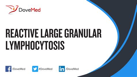 Reactive Large Granular Lymphocytosis