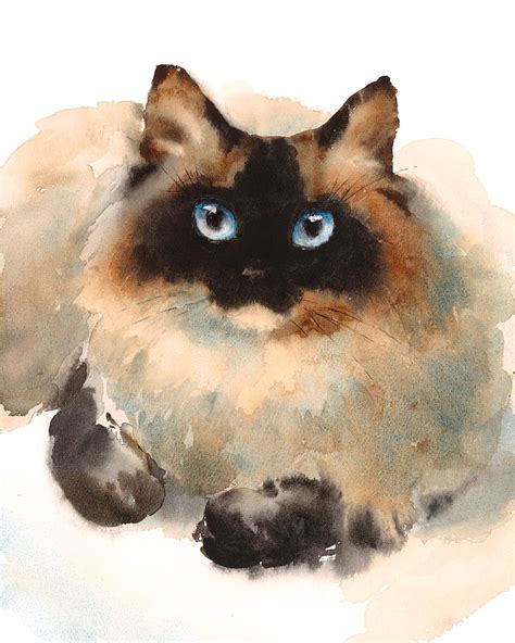 Ragdoll Cat Painting By Maria Stezhko Watercolor Cat Cat Art Cat