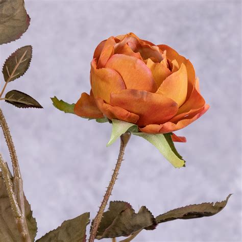 Rose Branch Edith Orange Ochre 76cm Faux Atlas Flowers