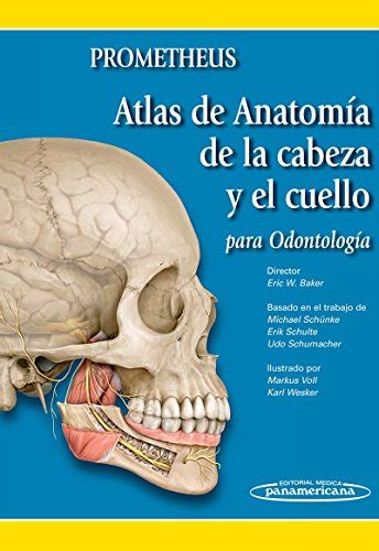 Atlas De Anatomia De La Cabeza Y El Cuello Para Odontologia Atlas Of