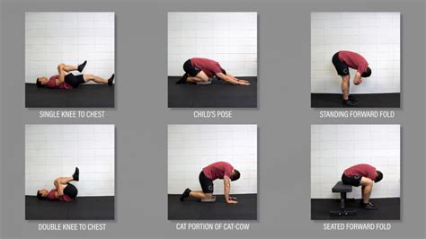 Yoga Exercises For Lumbar Spinal Stenosis Blog Dandk