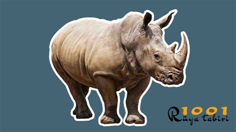 Rüyada Gergedan Görmek, Böceği ve Sürüsü - 1001RuyaTabiri.com