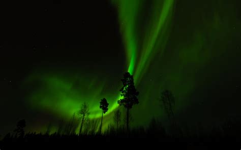 Aurora Borealis Northern Lights Night Green Trees