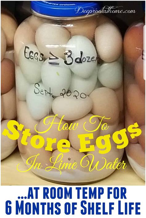 How To Store Eggs At Room Temp For Months Shelf Life In Lime Water