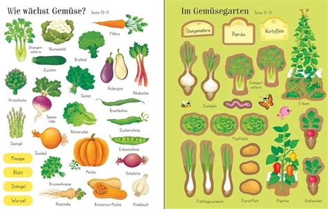 Mein Stickerbuch Wie Wachsen Obst Und Gemüse Vom Verlag Lernspielkiste Shop Für Lernmittel