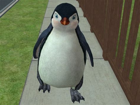 Penguin The Sims Wiki Fandom