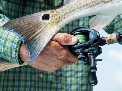 How To Use A Baitcaster Benefits And Advantages Of Baitcasters Sport