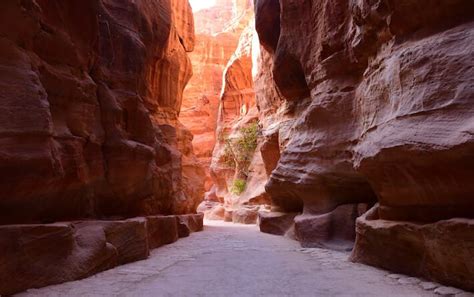 Rose City Of Petra → An Amazing Ancient Rock Carved City