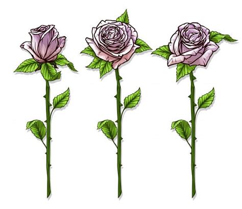 Roses De Dessin Animé Détaillé Graphique Avec Ensemble De Tige