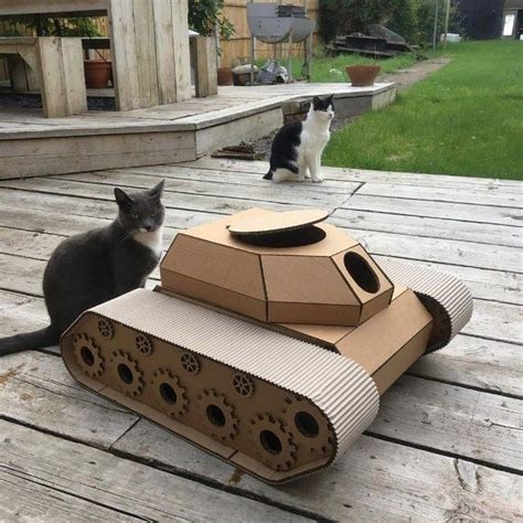 Cats In Cardboard Tanks Want To Take Over The World Cutesypooh