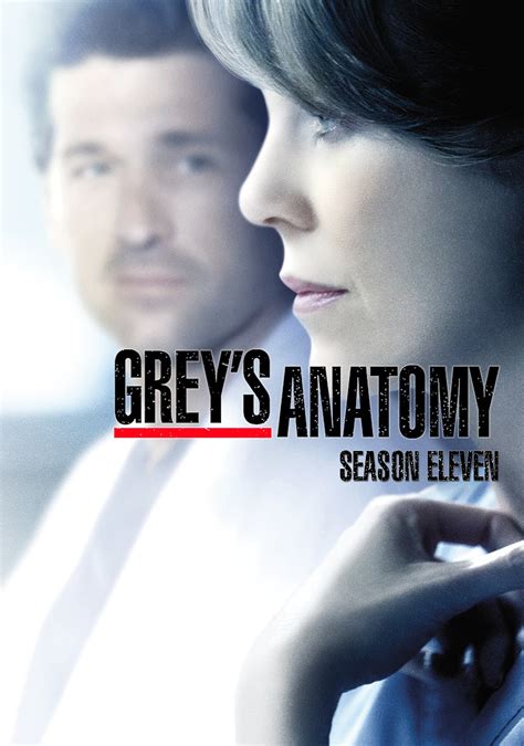 anatomía de grey temporada 11