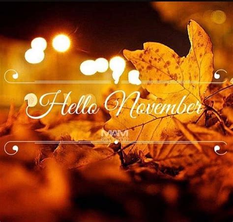 Welcome🍁🍂🦃 Hello November Welcome November Hello October Images